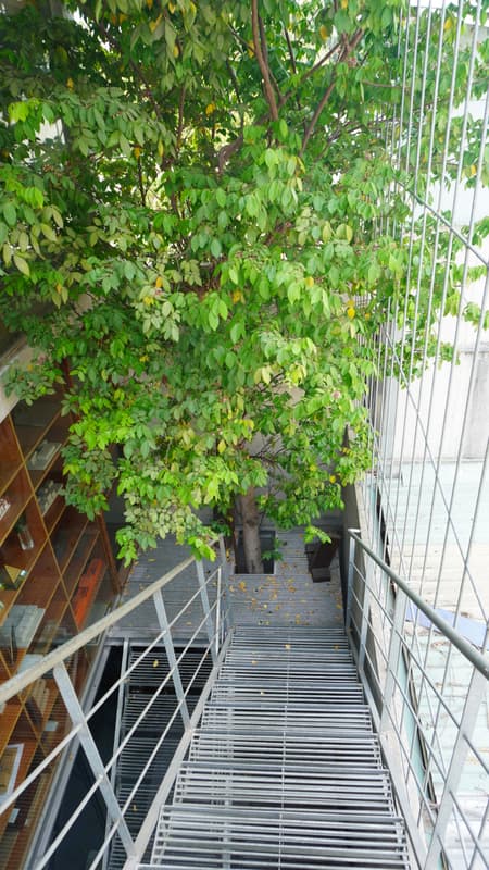 TAA OFFICE